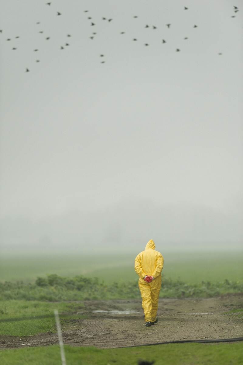 Foto cover focus op vogelgriep